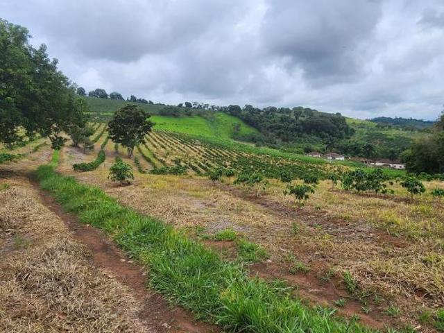 Sítio e chácara venda em Região Geográfica Imediata de Três Corações, Cambuquira
