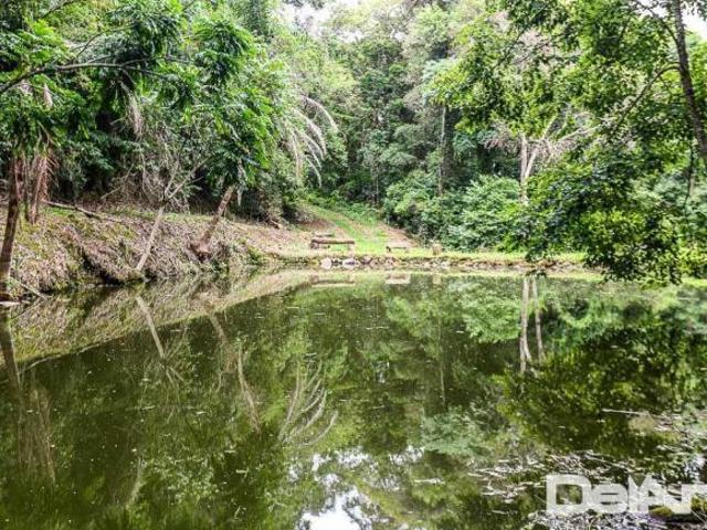 Sítio e chácara venda em Região Geográfica Imediata de Curitiba, Campo do Tenente