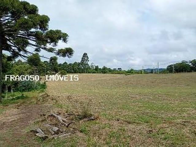 Sítio e chácara venda em Região Geográfica Imediata de Curitiba, Campo do Tenente