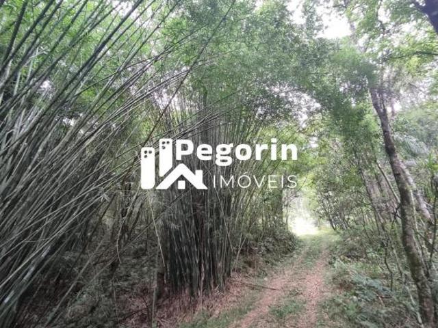 Sítio e chácara venda em Região Geográfica Imediata de Curitiba, Região Metropolitana de Curitiba