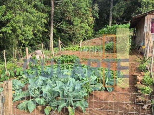 Sítio e chácara venda em Canela