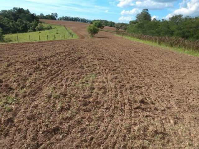 Sítio e chácara venda em Região Imediata de Sorocaba, Região Metropolitana de Sorocaba
