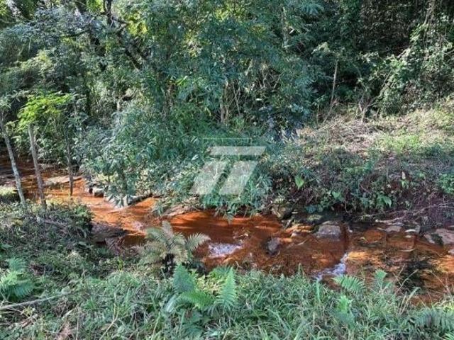 Sítio e chácara venda em Região Geográfica Imediata de Cascavel, Cascavel