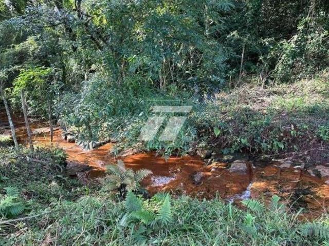Sítio e chácara venda em Independência, Cascavel