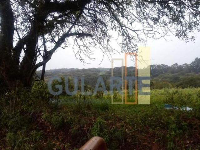 Sítio e chácara venda em Região Geográfica Imediata de Lagoa Vermelha, Caseiros
