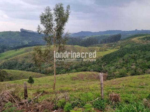 Sítio e chácara venda em Região Geográfica Imediata de Ponta Grossa, Castro