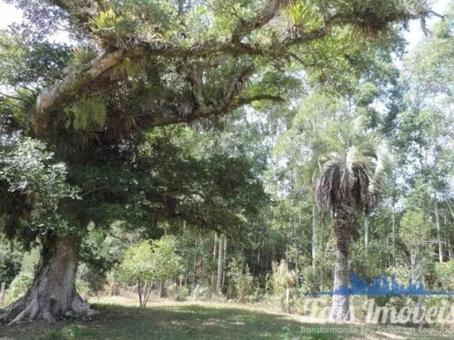 Sítio e chácara venda em Cerro Grande do Sul