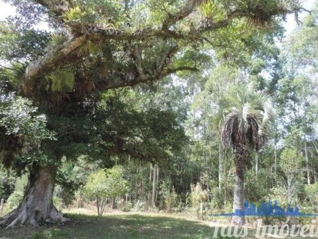 Sítio e chácara venda em Região Geográfica Imediata de Camaquã, Cerro Grande do Sul