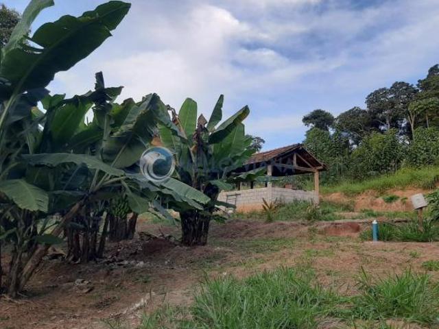 Sítio e chácara venda em Região Geográfica Imediata de São Lourenço, Conceição do Rio Verde