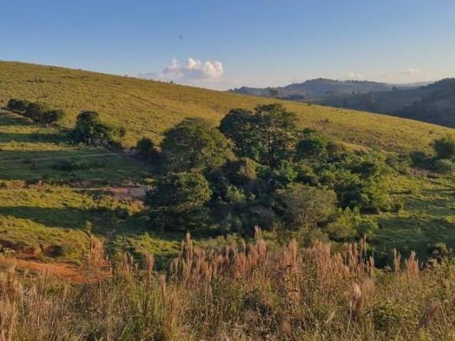 Sítio e chácara venda em Região Geográfica Imediata de São Lourenço, Conceição do Rio Verde