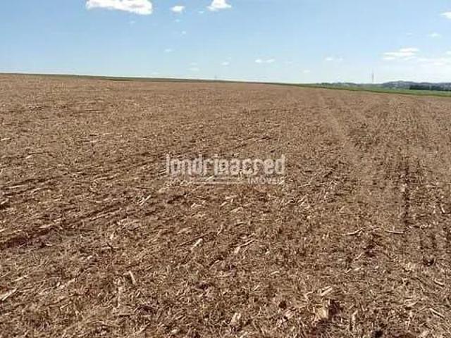 Sítio e chácara venda em Região Geográfica Imediata de Cornélio Procópio-Bandeirantes, Cornélio Procópio