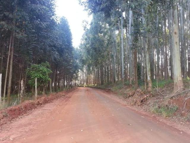 Sítio e chácara venda em Região Imediata de Avaré, Coronel Macedo