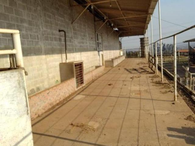 Sítio e chácara venda em Região Imediata de Rio Claro, Região Metropolitana de Piracicaba