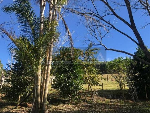 Sítio e chácara venda em Região Imediata de Guaratinguetá, Região Metropolitana do Vale do Paraíba e Litoral Norte