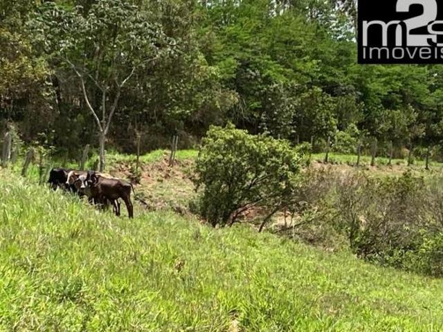 Sítio e chácara venda em Região Imediata de Guaratinguetá, Região Metropolitana do Vale do Paraíba e Litoral Norte