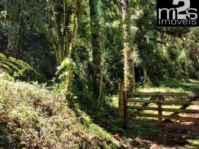 Sítio e chácara venda em Região Imediata de Guaratinguetá, Região Metropolitana do Vale do Paraíba e Litoral Norte