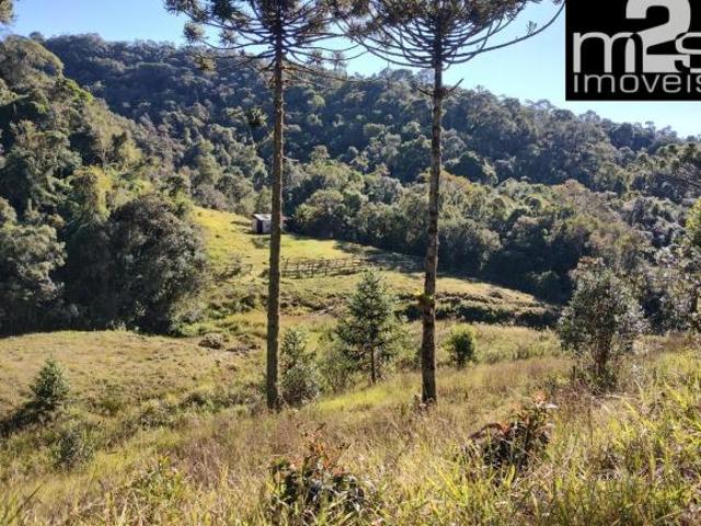 Sítio e chácara venda em Região Imediata de Guaratinguetá, Região Metropolitana do Vale do Paraíba e Litoral Norte