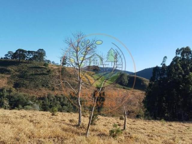 Sítio e chácara venda em Região Imediata de Guaratinguetá, Região Metropolitana do Vale do Paraíba e Litoral Norte