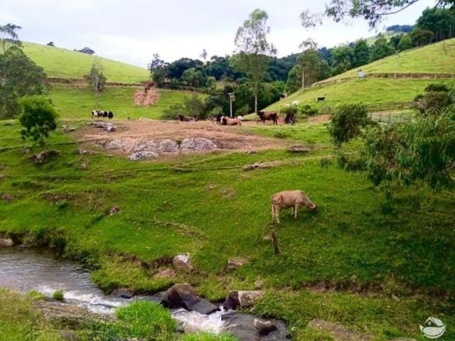 Sítio e chácara venda em Cunha