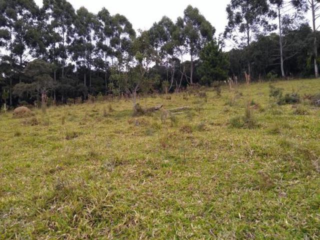 Sítio e chácara venda em Região Imediata de Guaratinguetá, Região Metropolitana do Vale do Paraíba e Litoral Norte