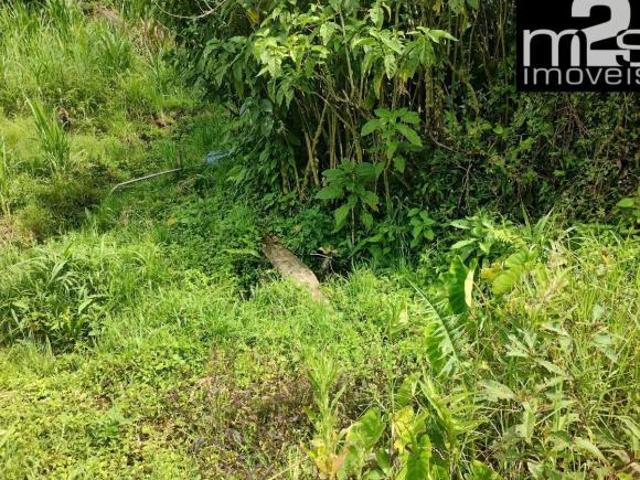 Sítio e chácara venda em Região Imediata de Guaratinguetá, Região Metropolitana do Vale do Paraíba e Litoral Norte