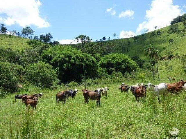 Sítio e chácara venda em Região Imediata de Guaratinguetá, Região Metropolitana do Vale do Paraíba e Litoral Norte