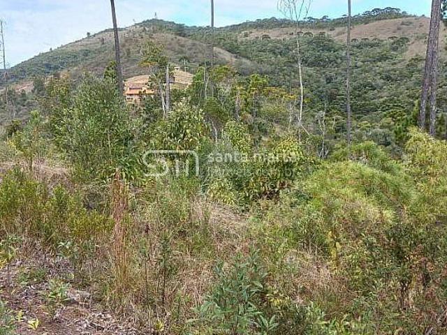 Sítio e chácara venda em Região Geográfica Imediata de Itajubá, Delfim Moreira