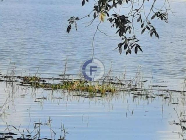 Sítio e chácara venda em Delfinópolis, Região Geográfica Intermediária de Varginha