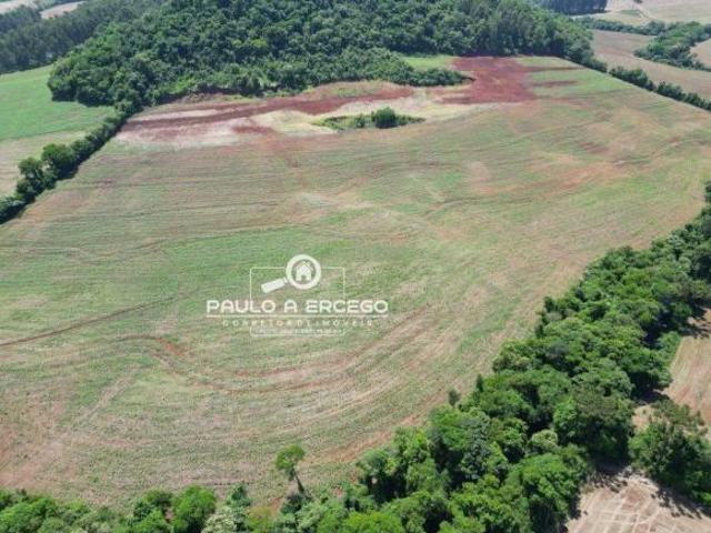 Sítio e chácara venda em Região Geográfica Imediata de Dois Vizinhos, Dois Vizinhos