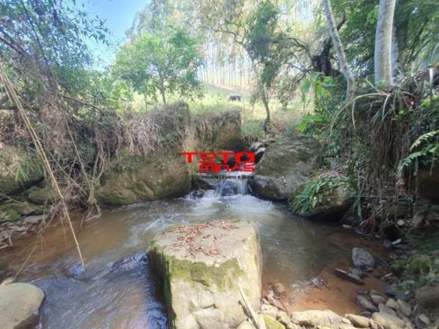 Sítio e chácara venda em Região Geográfica Imediata de São Lourenço, Dom Viçoso