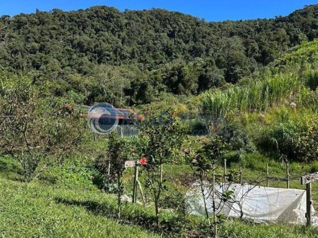 Sítio e chácara venda em Mato Dentro, Dom Viçoso