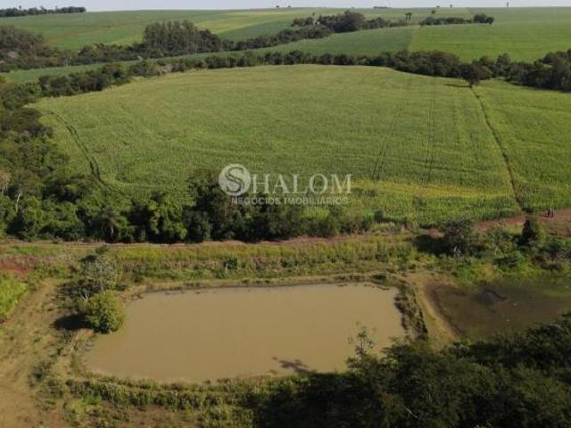 Sítio e chácara venda em Região Geográfica Imediata de Maringá, Doutor Camargo