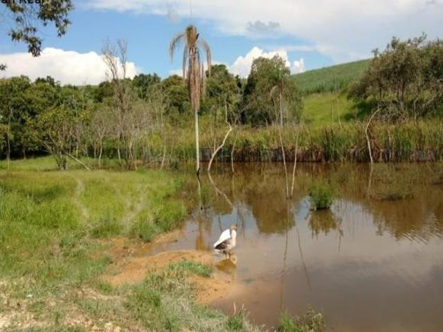 Sítio e chácara venda em Região Imediata de Campinas, Região Metropolitana de Piracicaba