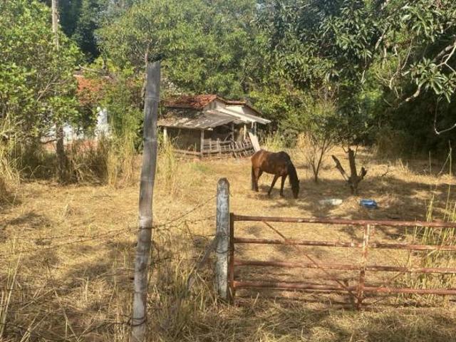Sítio e chácara venda em Região Imediata de São José do Rio Preto, Região Metropolitana de São José do Rio Preto