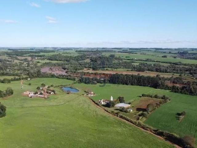 Sítio e chácara venda em Região Geográfica Imediata de Porto Alegre, Região Metropolitana de Porto Alegre