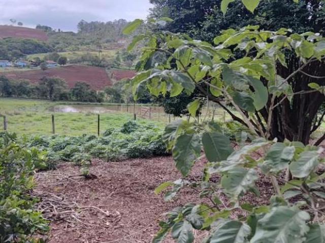 Sítio e chácara venda em Centro, Entre Rios de Minas
