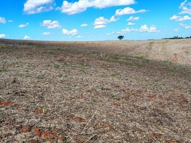 Sítio e chácara venda em Região Geográfica Imediata de Francisco Beltrão, Francisco Beltrão