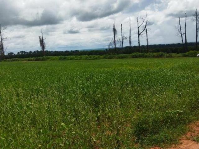 Sítio e chácara venda em Frutal, Região Geográfica Intermediária de Uberaba