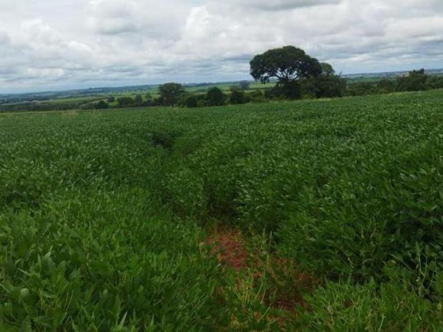 Sítio e chácara venda em Frutal, Região Geográfica Intermediária de Uberaba