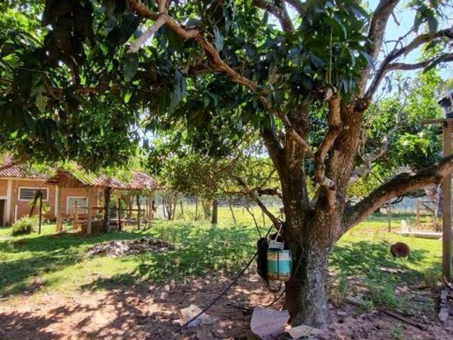 Sítio e chácara venda em Região Imediata de Marília, Getulina