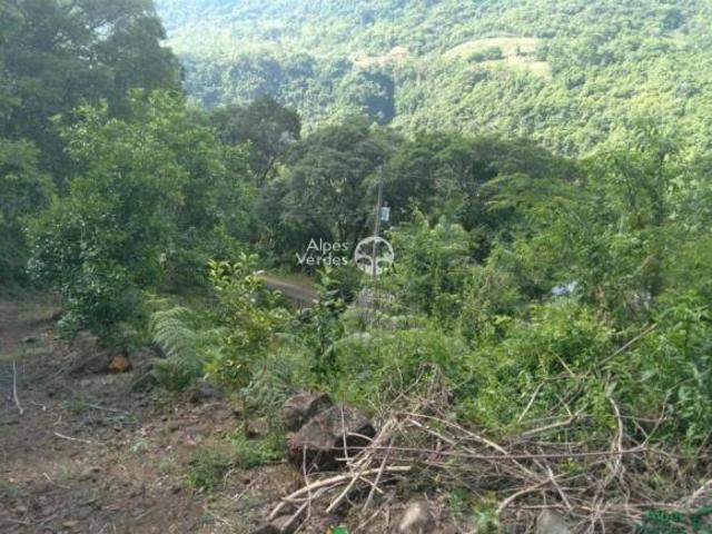 Sítio e chácara venda em Gramado