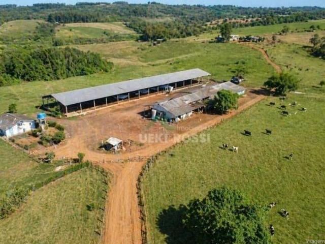 Sítio e chácara venda em Região Geográfica Imediata de Ivaiporã, Grandes Rios