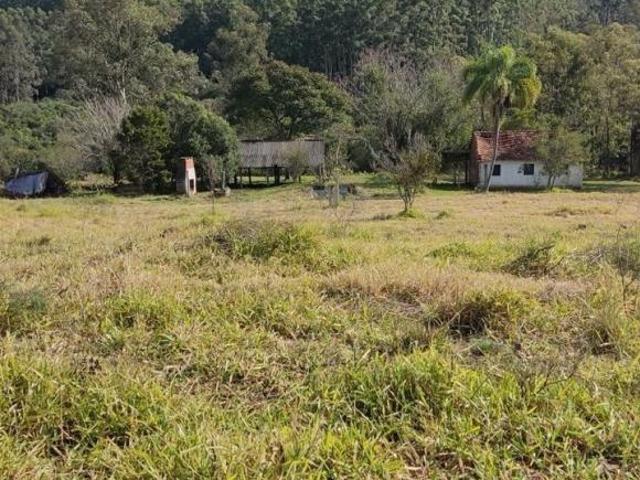 Sítio e chácara venda em Região Geográfica Imediata de Porto Alegre, Região Metropolitana de Porto Alegre