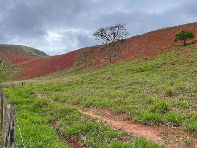 Sítio e chácara venda em Região Imediata de Guaratinguetá, Região Metropolitana do Vale do Paraíba e Litoral Norte