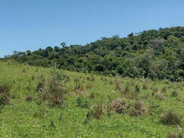 Sítio e chácara venda em Guareí