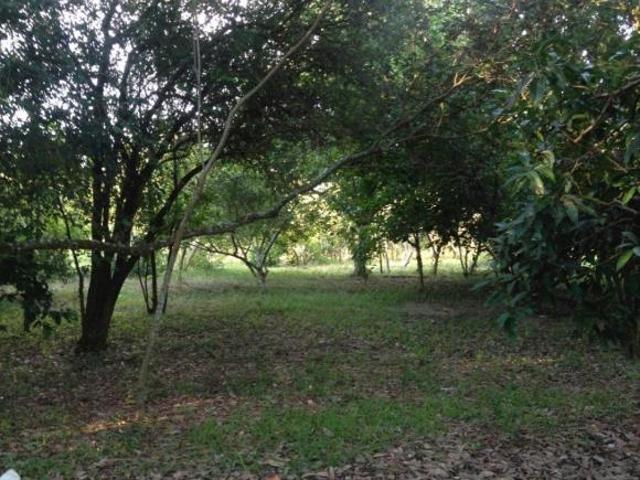 Sítio e chácara venda em Guatapará