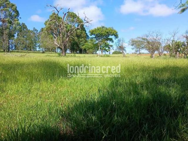 Sítio e chácara venda em Ibaiti, Região Geográfica Intermediária de Londrina