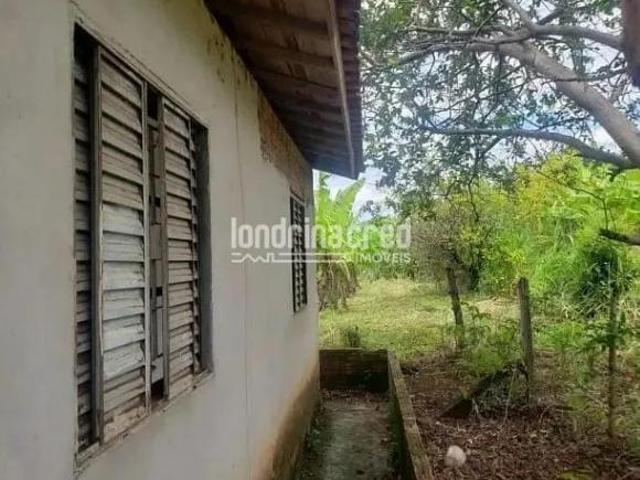 Sítio e chácara venda em Região Geográfica Imediata de Londrina, Ibiporã