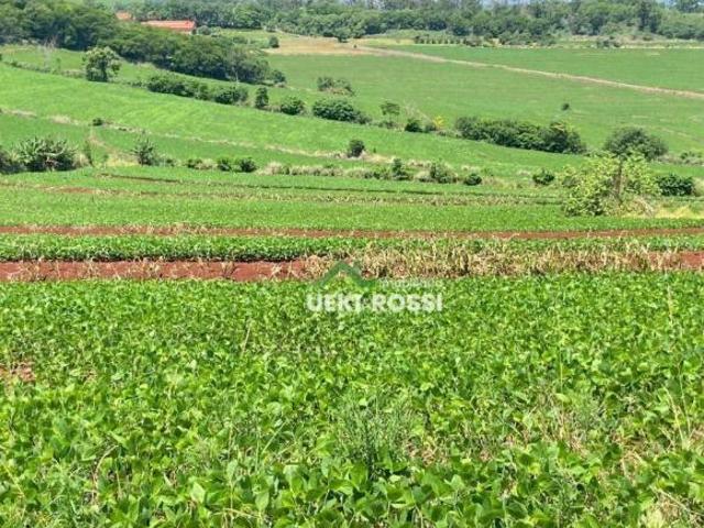 Sítio e chácara venda em Jataizinho, Região Geográfica Intermediária de Londrina