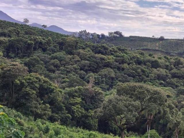 Sítio e chácara venda em Ibitiúra de Minas, Região Geográfica Intermediária de Pouso Alegre